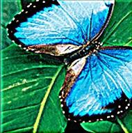 350 DPI with enhancement