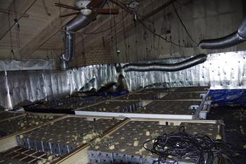 cannabis growing center