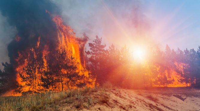 Top 10 Checklist for Analyzing Complex Wildland Fires