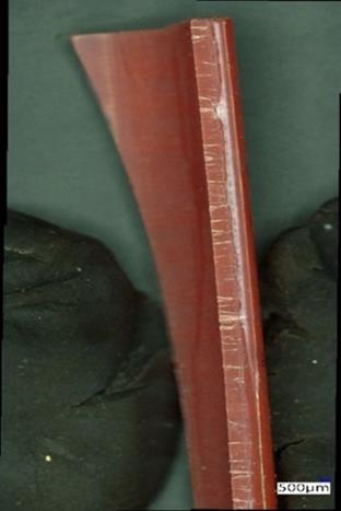 Opened Longitudinal Cracks